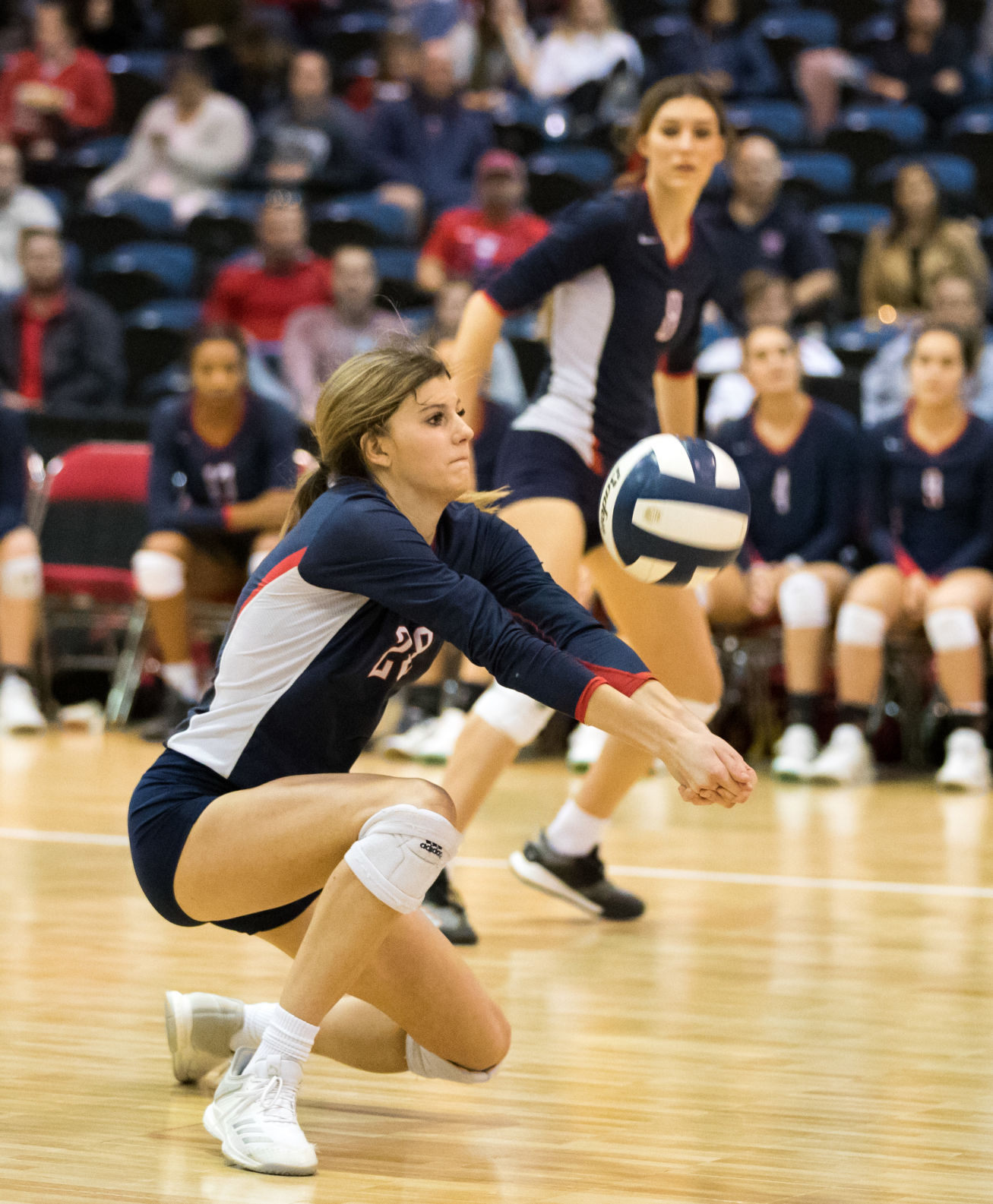 no.volleyballdivisionII.111118.05.JPG